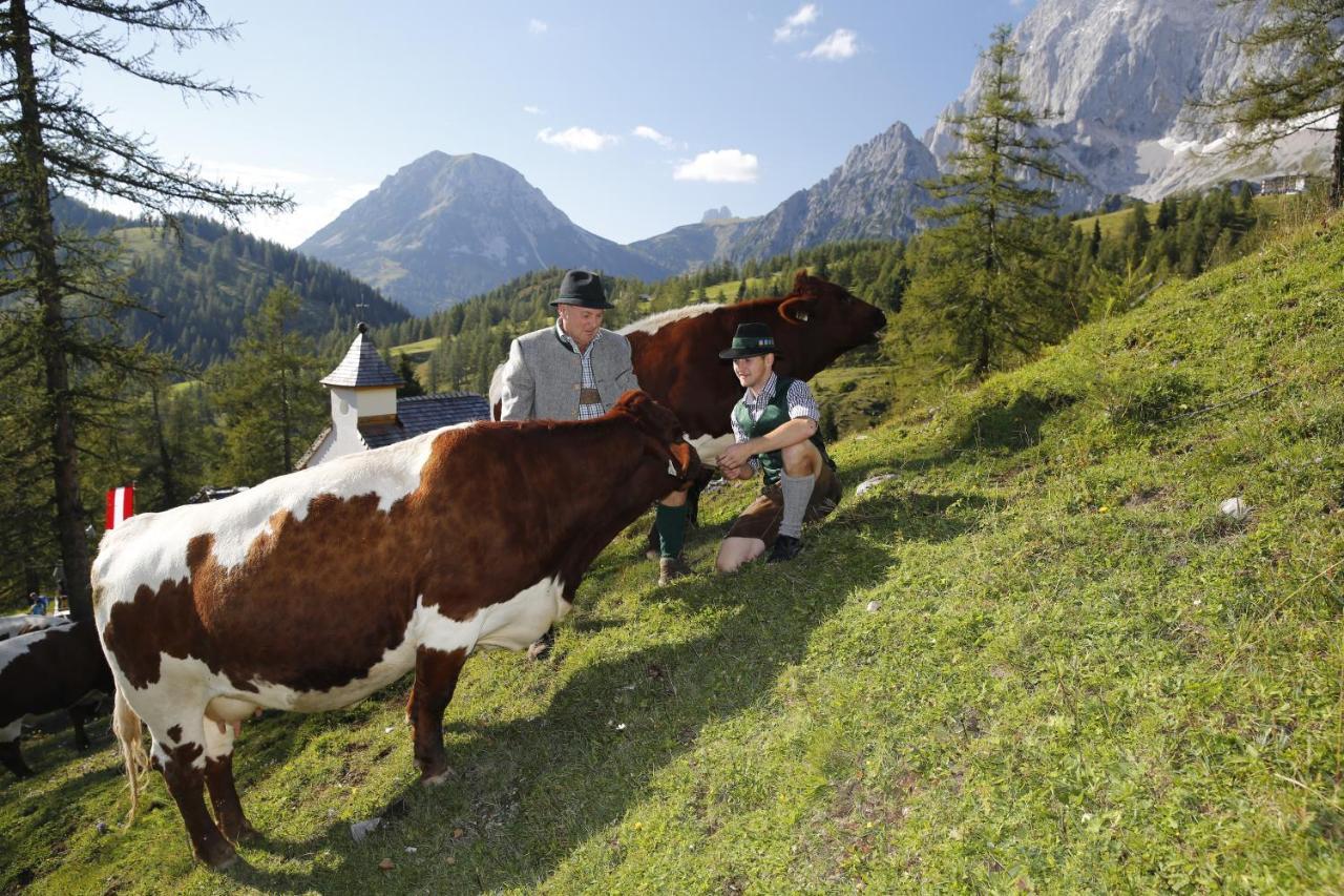 Brandhof - Chalet Am Berg Ramsau am Dachstein Dış mekan fotoğraf