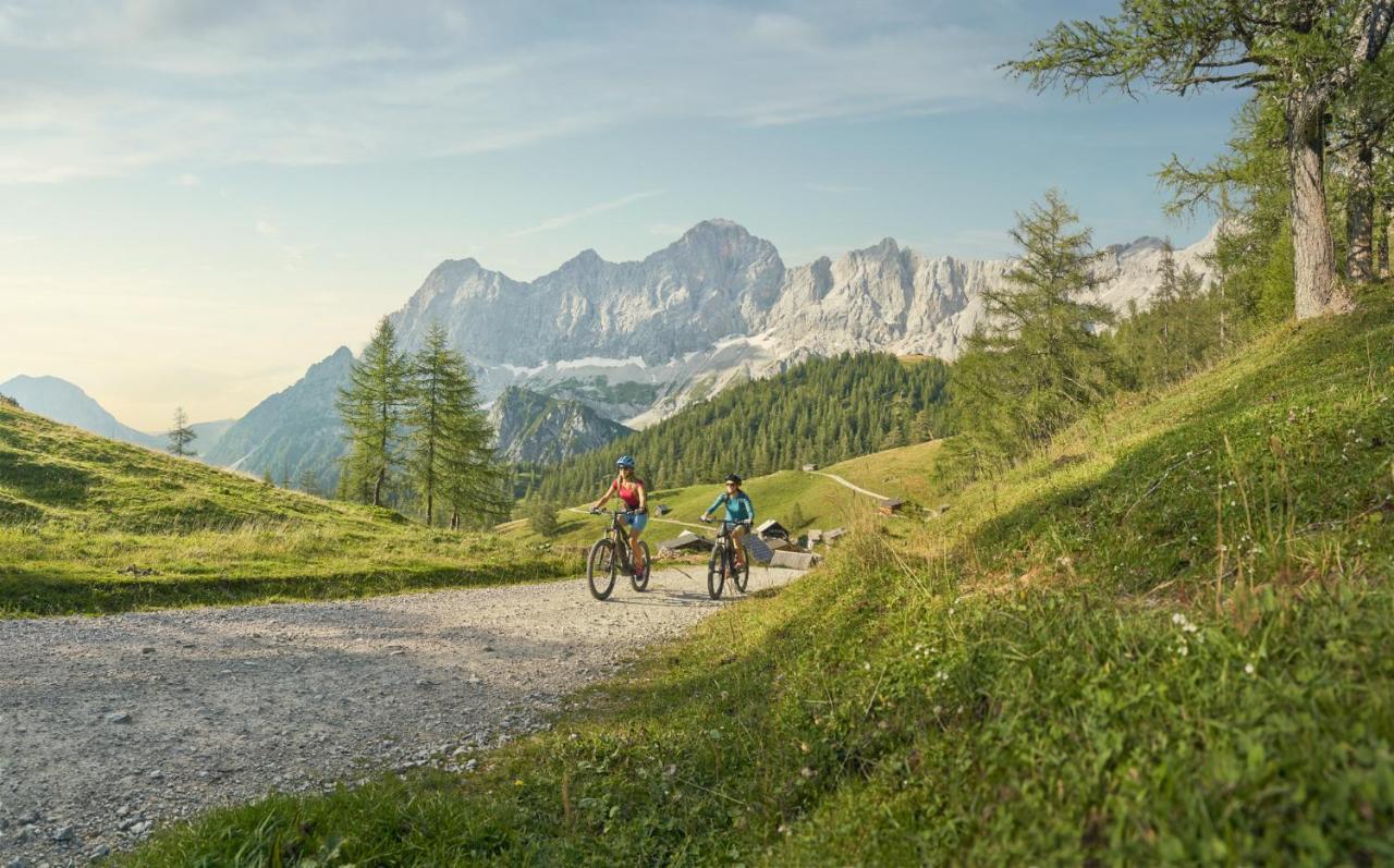 Brandhof - Chalet Am Berg Ramsau am Dachstein Dış mekan fotoğraf