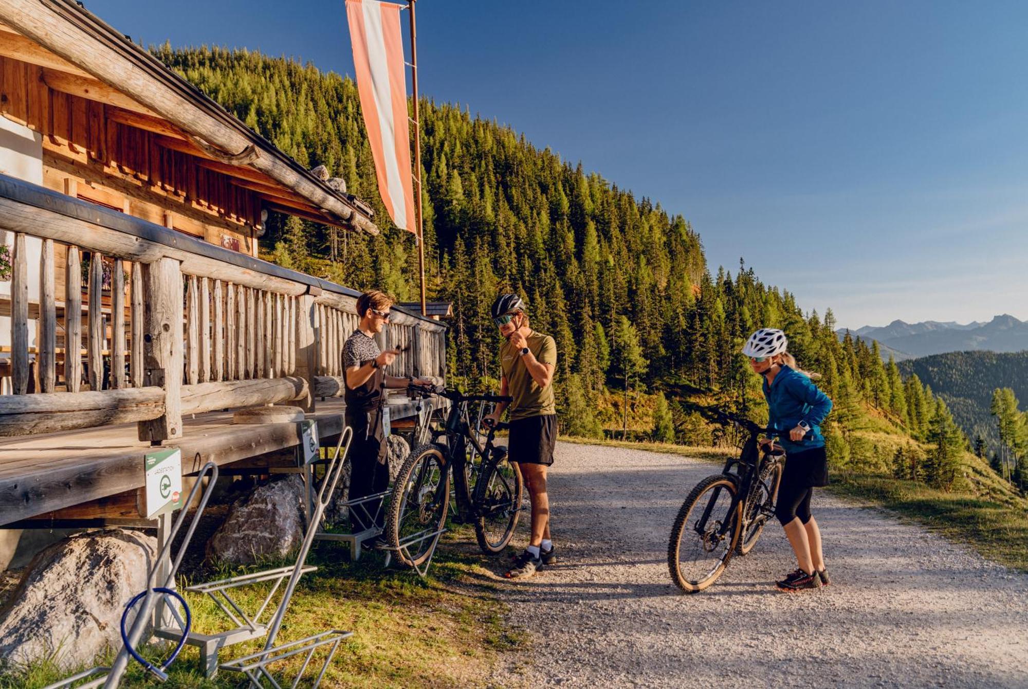 Brandhof - Chalet Am Berg Ramsau am Dachstein Dış mekan fotoğraf